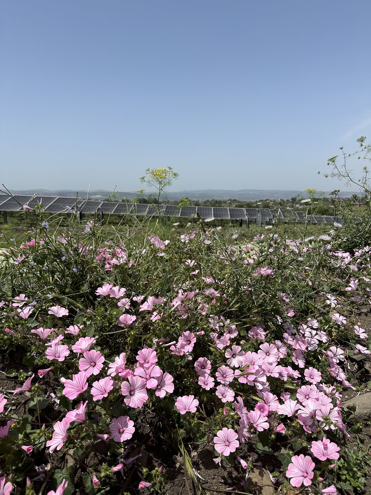 Una giornata sul campo: energia, orgoglio e futuro